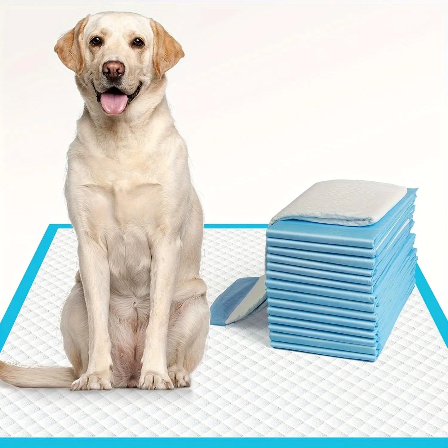 Puppy Training Pads