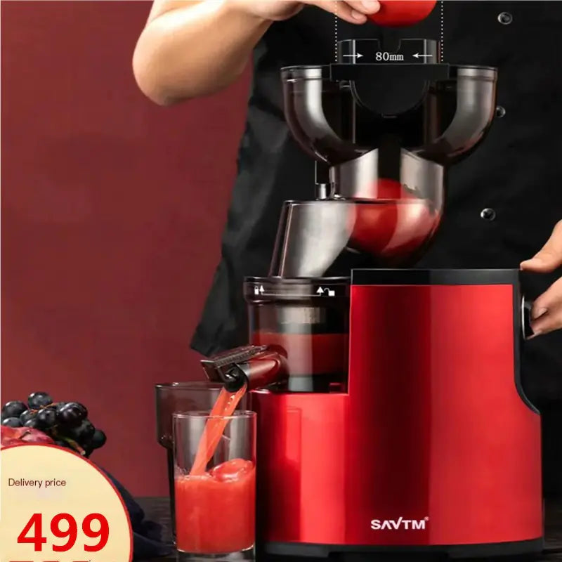 Large Capacity Juicer