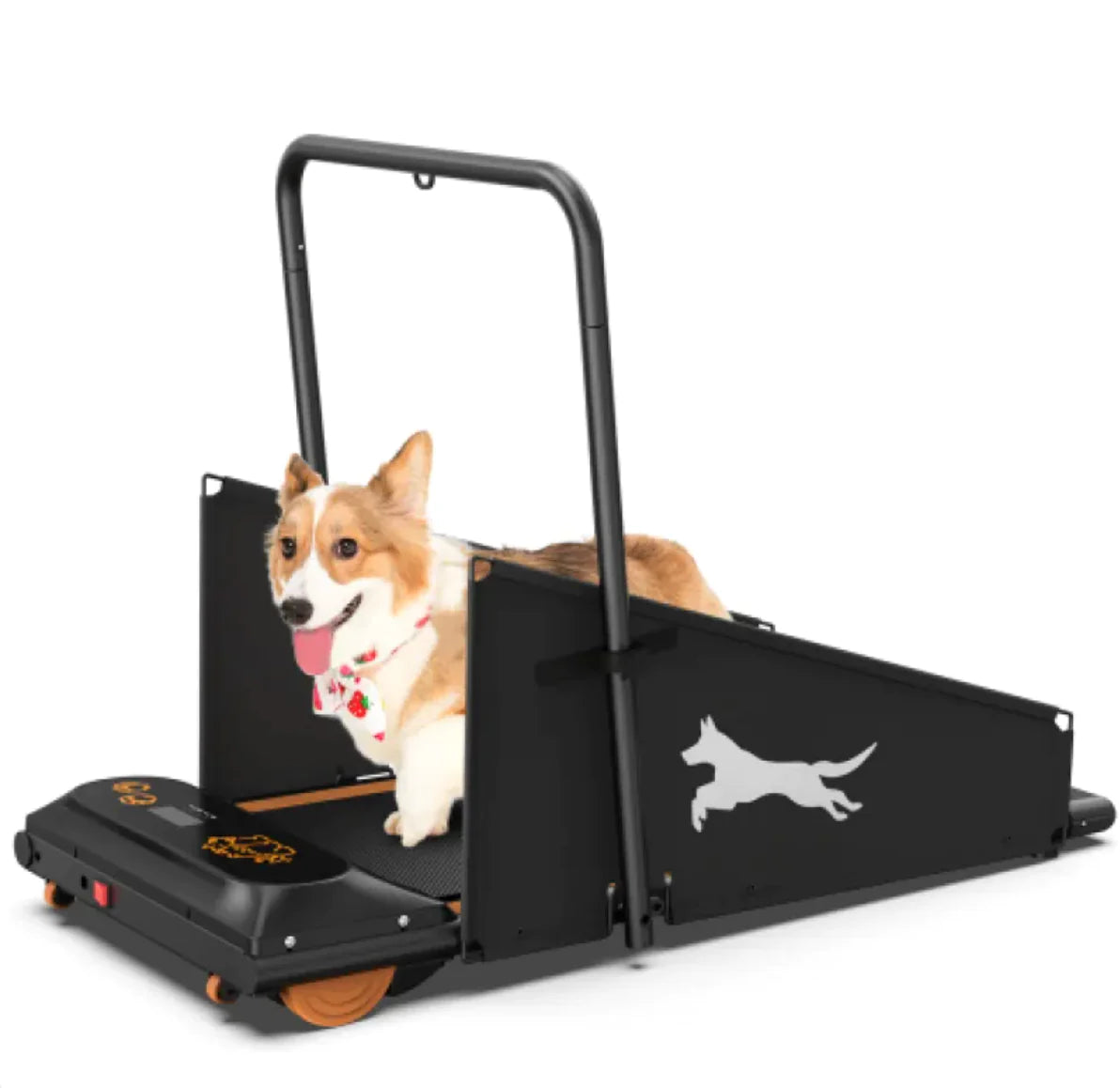 Dog Treadmill
