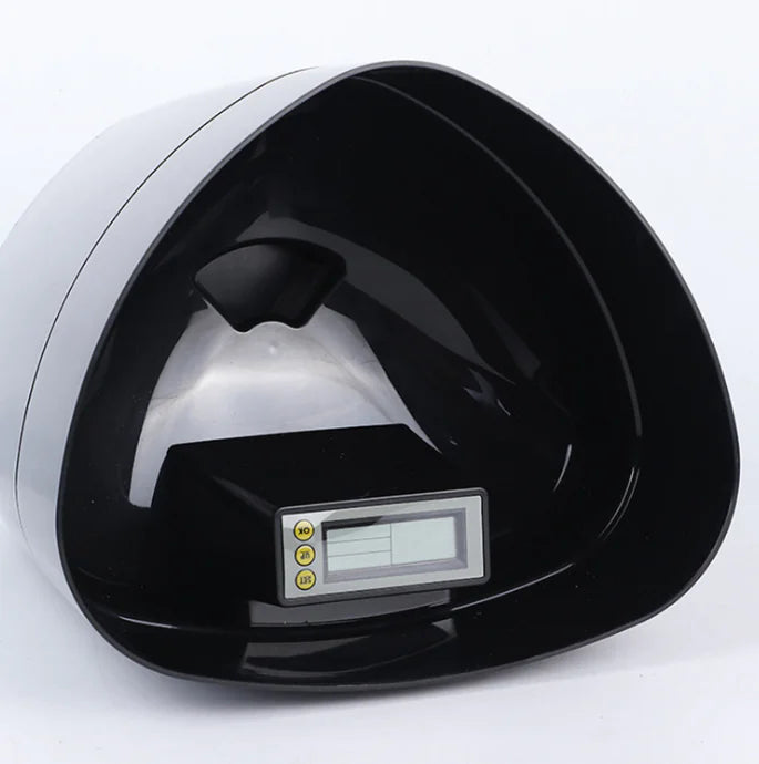 Automatic Pet Feeder