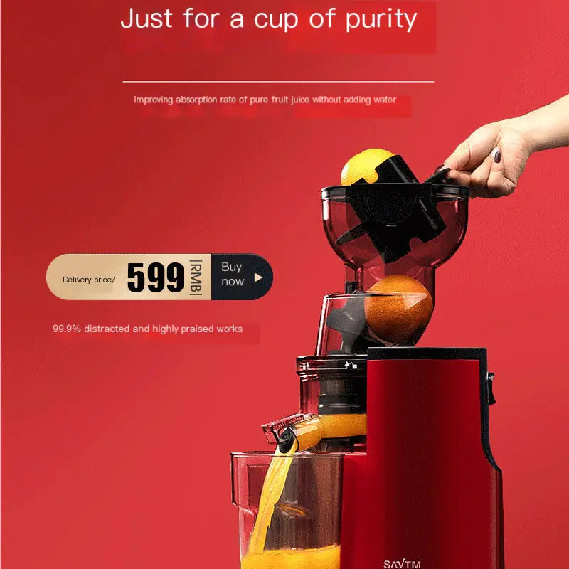 Large Capacity Juicer