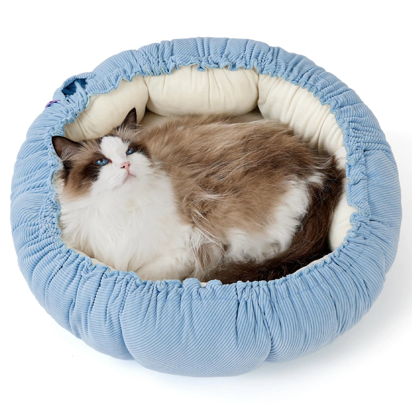 Cat beds