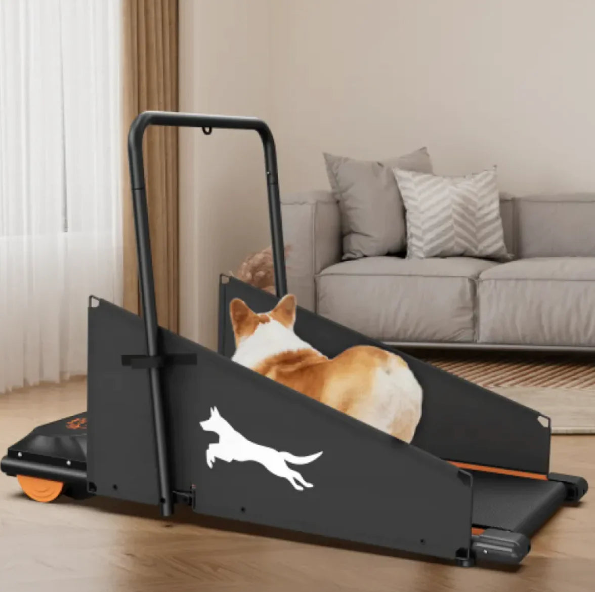 Dog Treadmill