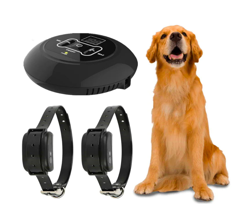 Pet Training Device