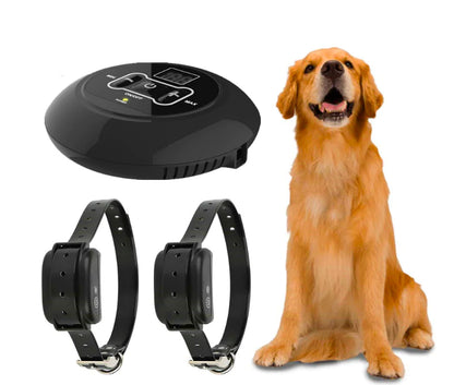 Pet Training Device
