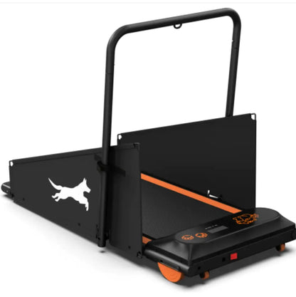 Dog Treadmill