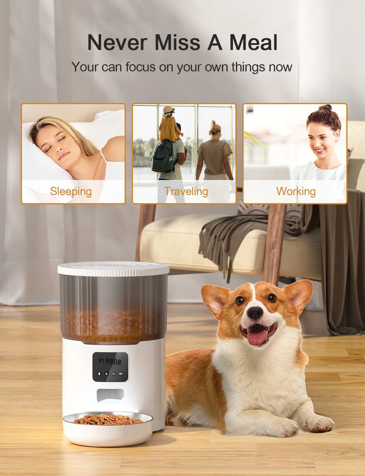 Automatic Pet Feeder