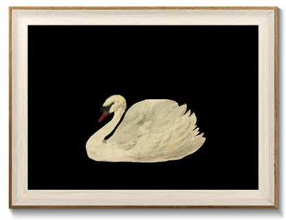 Framed swan wall art on black background, perfect for vintage decor and farmhouse aesthetics.