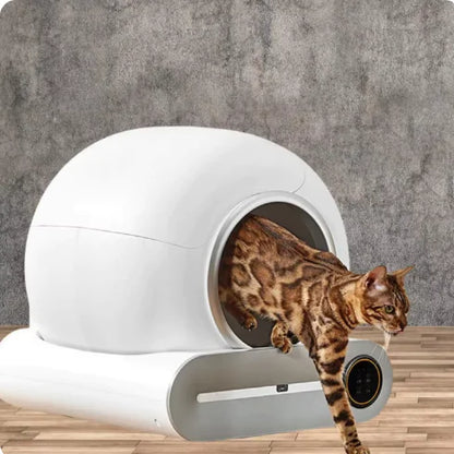 Smart Cat Litter Box